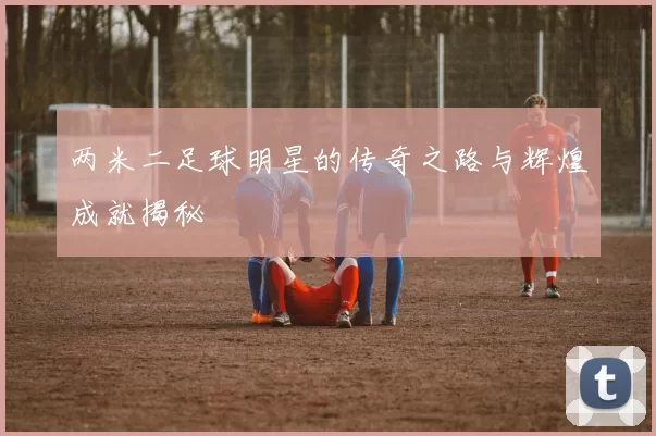 两米二足球明星的传奇之路与辉煌成就揭秘