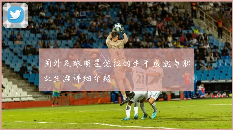 国外足球明星佐拉的生平成就与职业生涯详细介绍