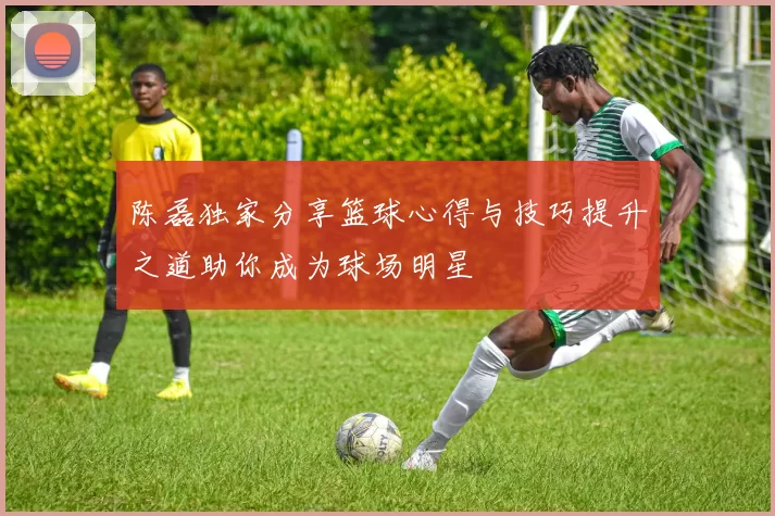 陈磊独家分享篮球心得与技巧提升之道助你成为球场明星