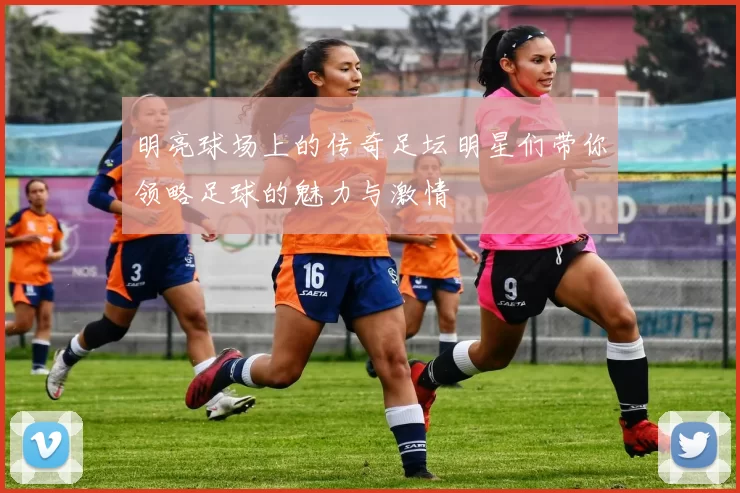 明亮球场上的传奇足坛明星们带你领略足球的魅力与激情