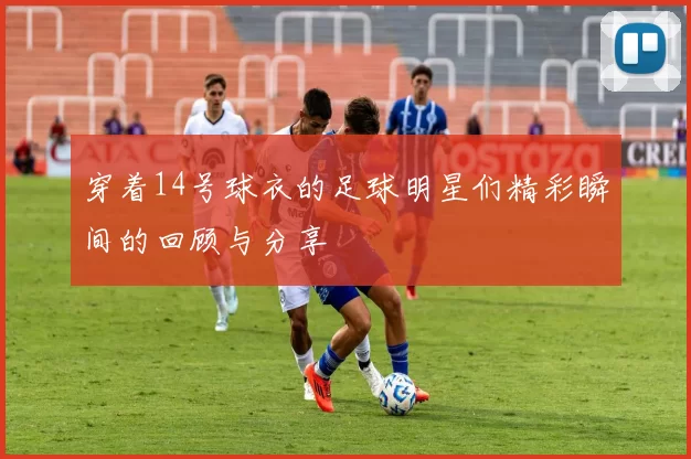 穿着14号球衣的足球明星们精彩瞬间的回顾与分享
