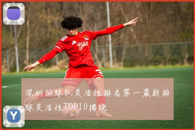 深圳排球队灵活性排名第一最新排球灵活性TOP10揭晓
