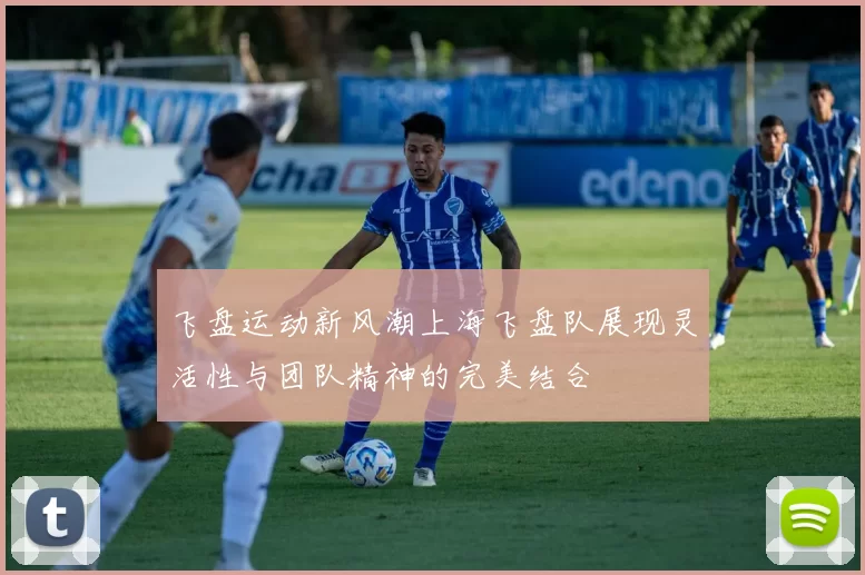 飞盘运动新风潮上海飞盘队展现灵活性与团队精神的完美结合