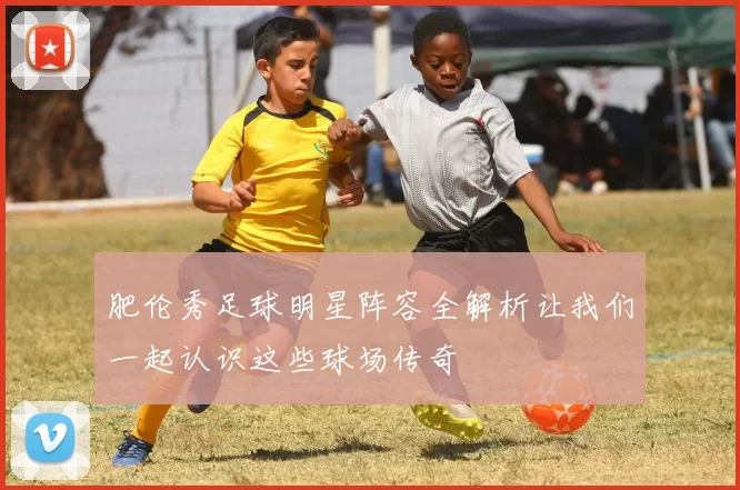 肥伦秀足球明星阵容全解析让我们一起认识这些球场传奇