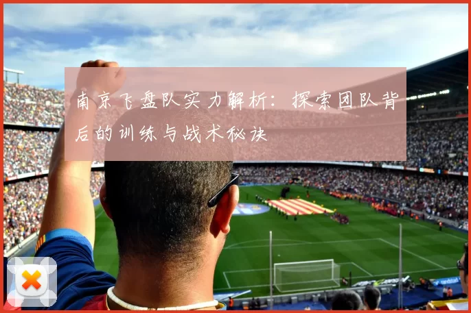 南京飞盘队实力解析：探索团队背后的训练与战术秘诀