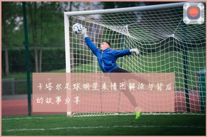卡塔尔足球明星表情图解读与背后的故事分享