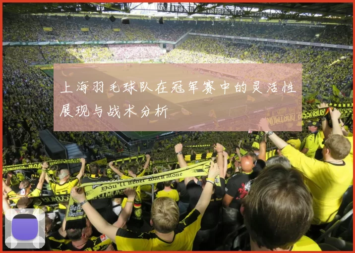 上海羽毛球队在冠军赛中的灵活性展现与战术分析