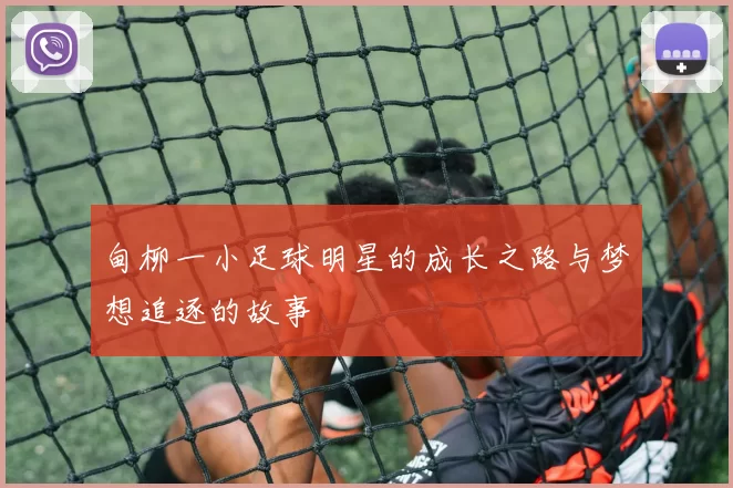 甸柳一小足球明星的成长之路与梦想追逐的故事
