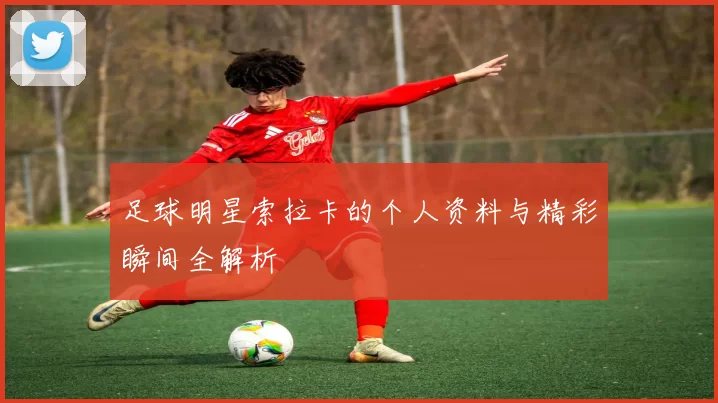 足球明星索拉卡的个人资料与精彩瞬间全解析