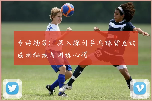 专访杨芳：深入探讨乒乓球背后的成功秘诀与训练心得