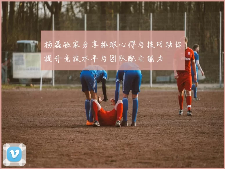 杨磊独家分享排球心得与技巧助你提升竞技水平与团队配合能力