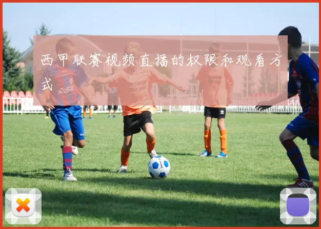 西甲联赛视频直播的权限和观看方式