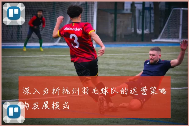 深入分析杭州羽毛球队的运营策略与发展模式