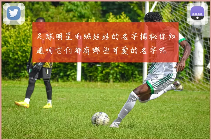 足球明星毛绒娃娃的名字揭秘你知道吗它们都有哪些可爱的名字呢