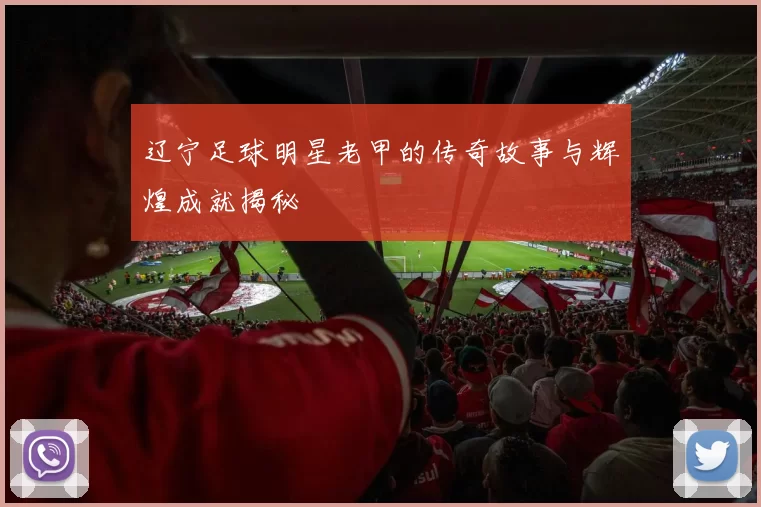 辽宁足球明星老甲的传奇故事与辉煌成就揭秘