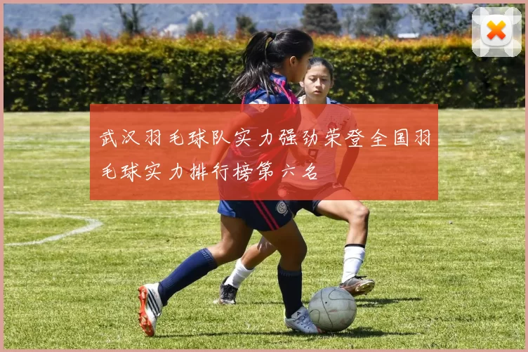 武汉羽毛球队实力强劲荣登全国羽毛球实力排行榜第六名